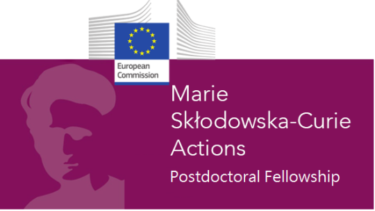 Marie Curie Postdoctoral fellowship