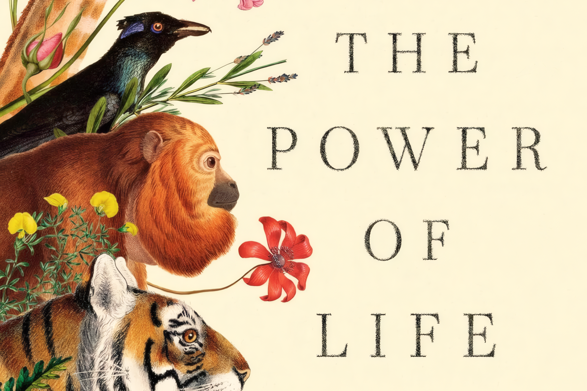 The power of Life